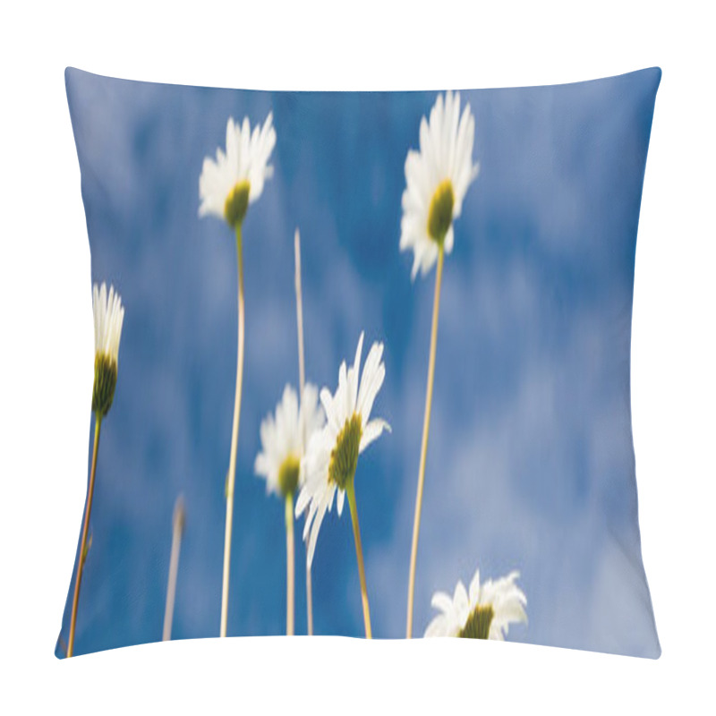 Personality  Daisies Against Blue Sky Background - Banner Images Pillow Covers