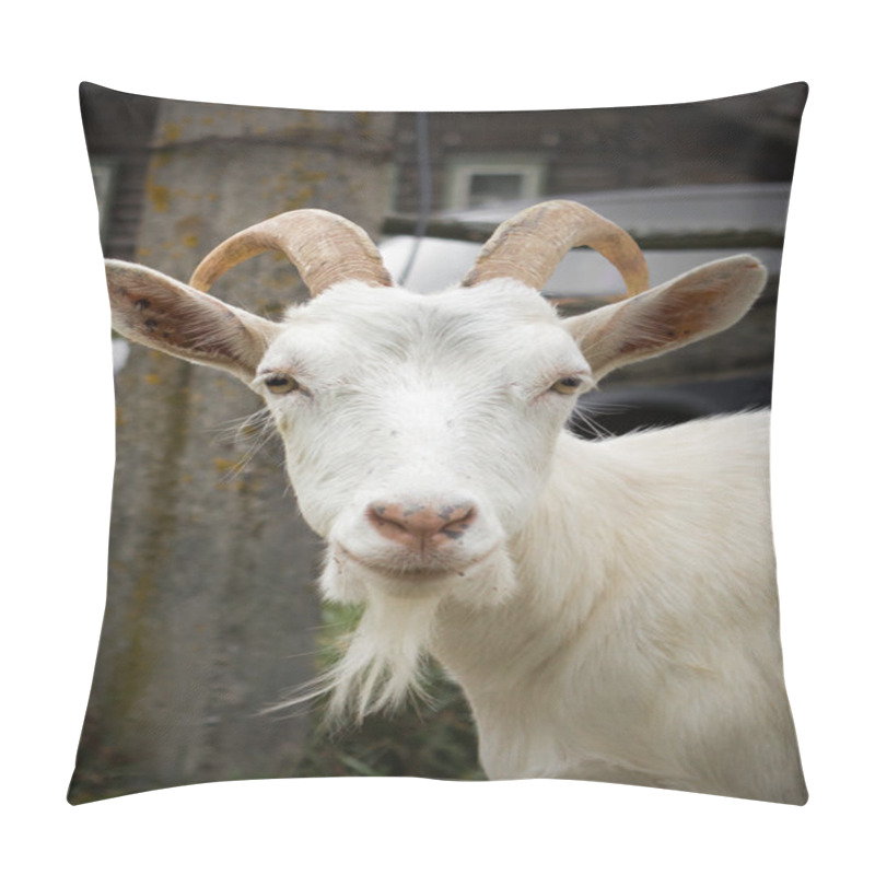 Personality  White Goat Pillow Covers