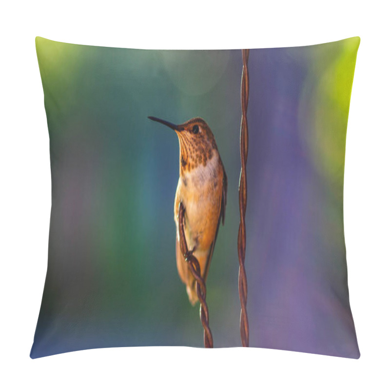 Personality  Rufous Hummingbird Pillow Covers