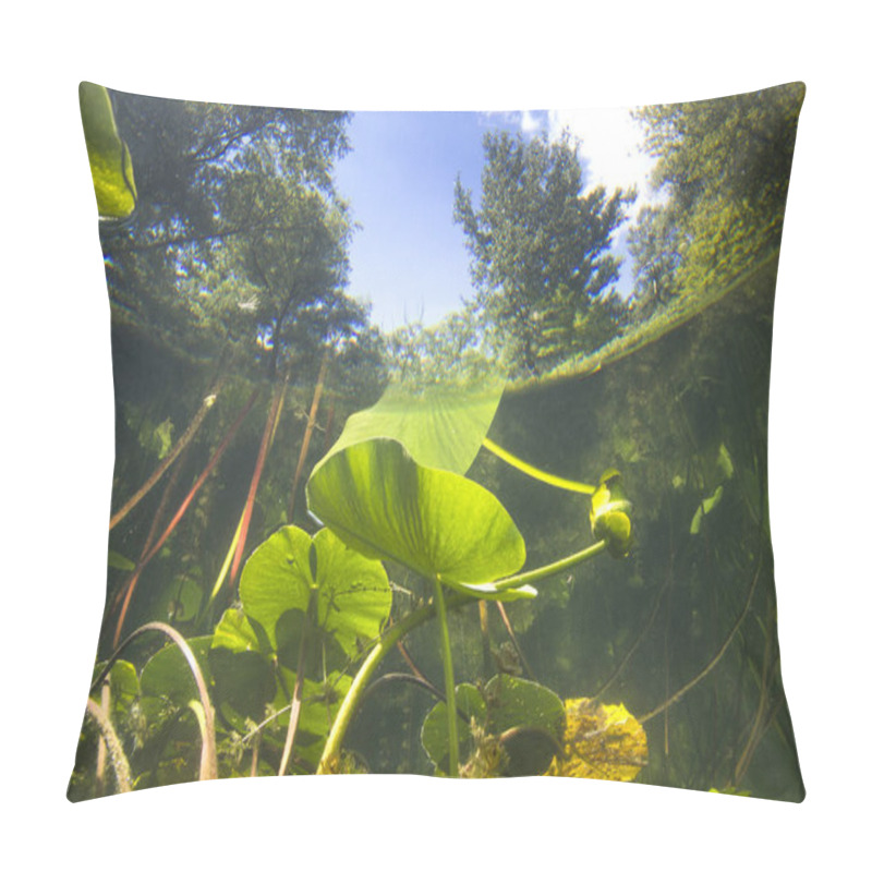 Personality  Beautiful Yellow Water Lily (nuphar Lutea) In The Clear Pound. Underwater Shot In The Lake. Nature Habitat. Underwater Landscape. Pillow Covers