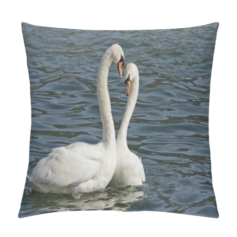 Personality  Swans Fall In Love Pillow Covers