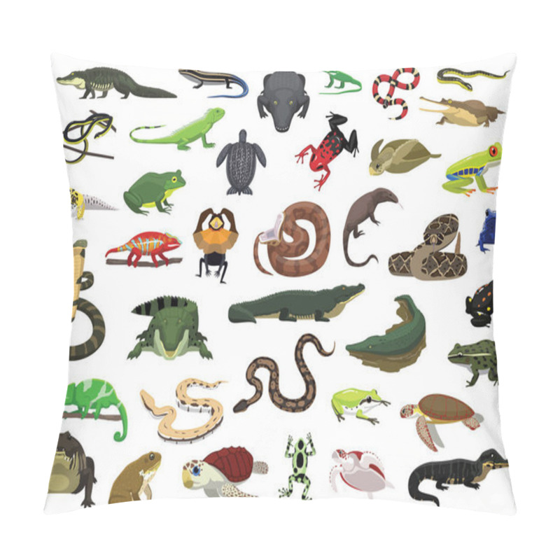 Personality  Various Reptile And Amphibian Vector Illustration Pillow Covers