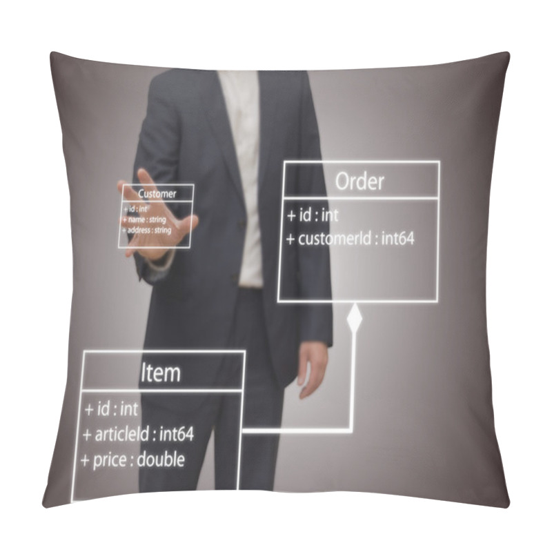 Personality  Software Architect Pillow Covers