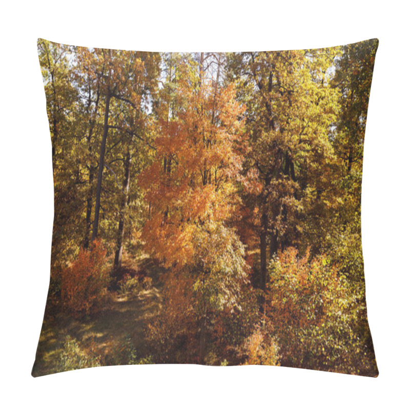 Personality  Trees With Yellow And Green Leaves In Autumnal Park At Day  Pillow Covers