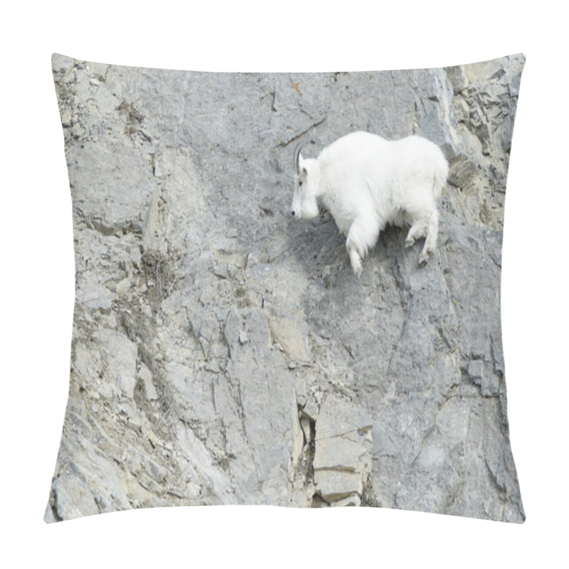 Personality  Mountain Goat (Oreamnos Americanus) Jumping On The Cliffs At The Snake River Canyon, Wyoming, USA. Pillow Covers