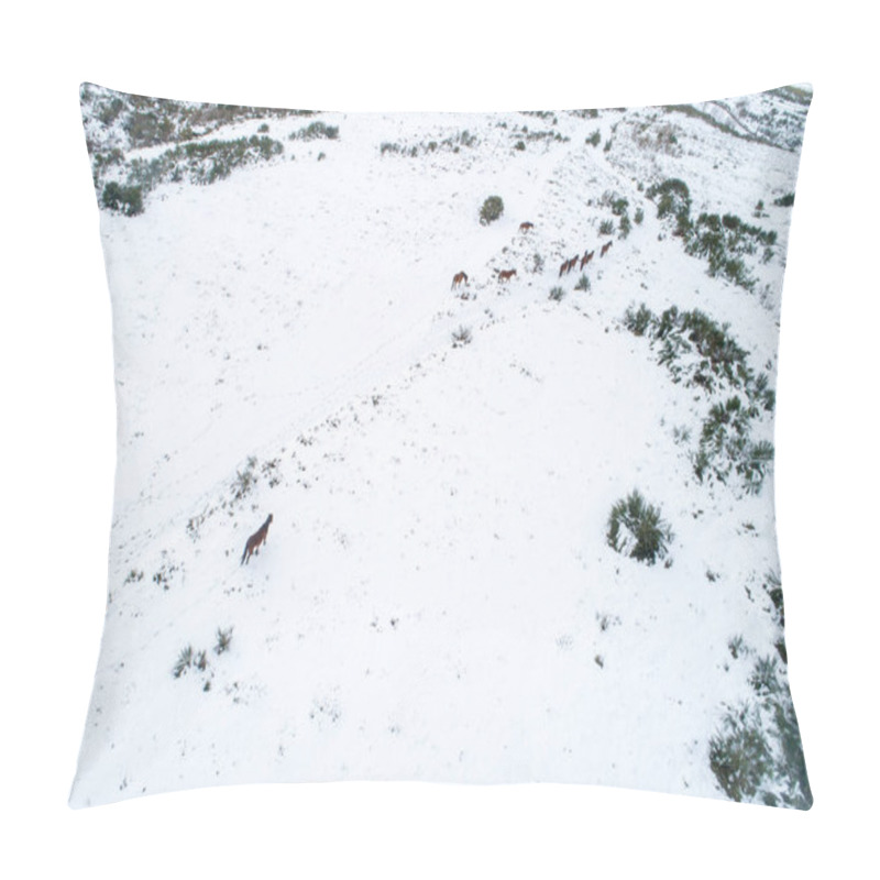 Personality  Wild Horses In A Snowy Landscape, Aerial View From A Drone. Nature In Winter Concept Background Pillow Covers