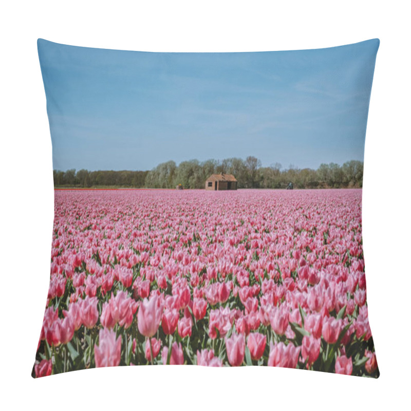 Personality  Tulips Fields In The Netherlands Near Lisse, Bulb Region Holland In Full Bloom During Spring, Colorful Tulip Fields Pillow Covers