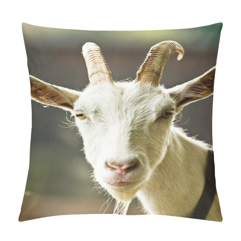 Personality  Goat Pillow Covers