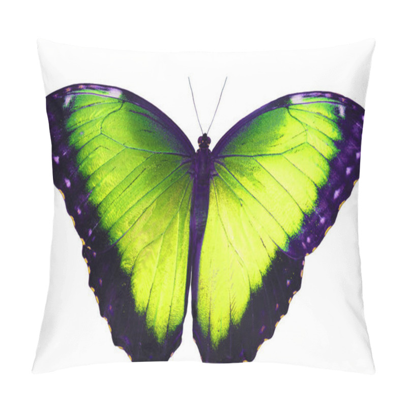 Personality  Yellow Green Butterfly Isolated On White Background With Spread Wings Pillow Covers