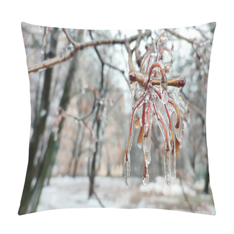 Personality  Branches Of Bush Covered With Ice After Rain In Frost In Winter Close-up. Frozen Plants. After Icy Rain. Freezing Rain. Frozen Raindrops, Cold, Ice, Icy, Frosty. Natural Phenomenon. Natural Background Pillow Covers