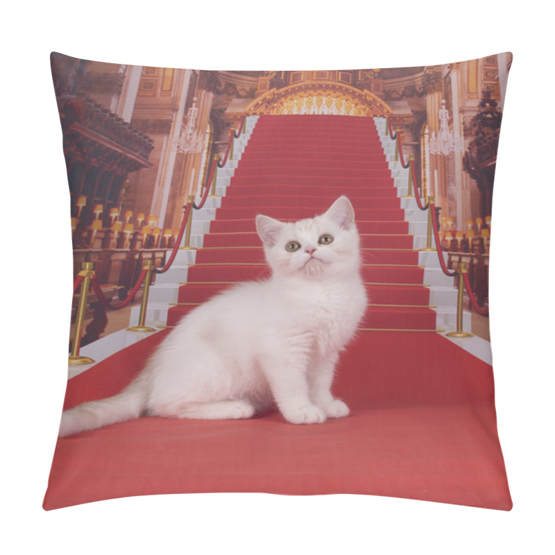 Personality  Scottish Kittens Playing In The Castle Pillow Covers