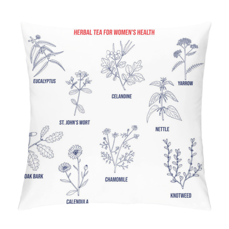 Personality  Herbal Tea For Womens Health Pillow Covers