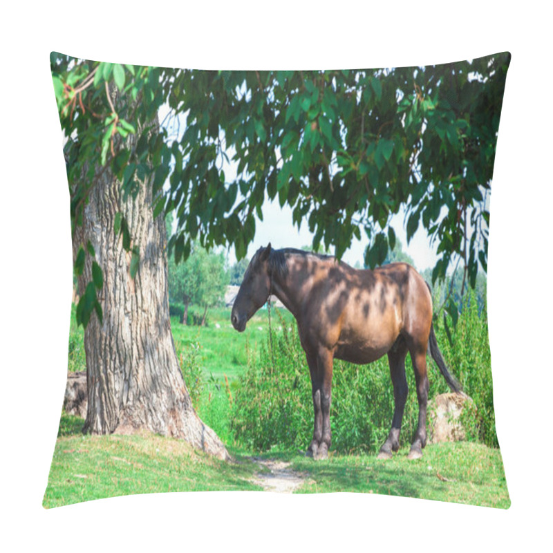 Personality  Old Tired Horse Near The Tree Pillow Covers