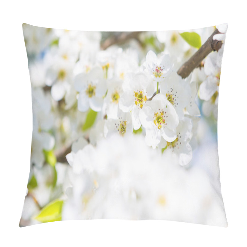 Personality  Beautiful Closeup Spring Blossoming Tree Pillow Covers