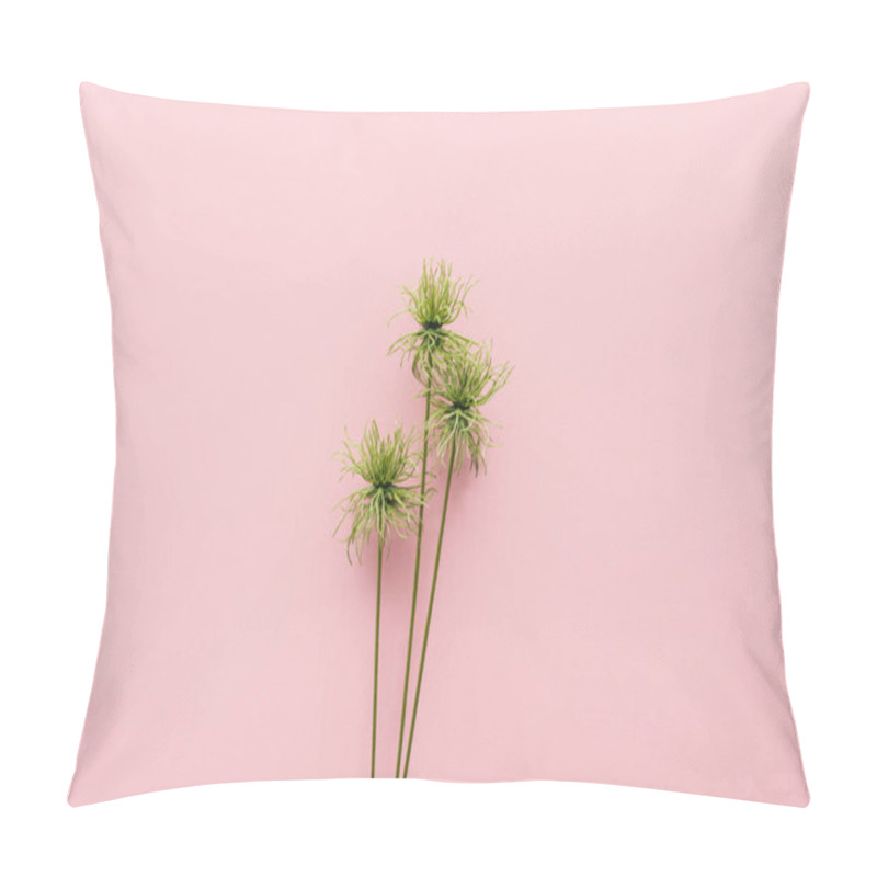 Personality  Elevated View Of Beautiful Tropical Plant On Pink, Minimalistic Concept  Pillow Covers