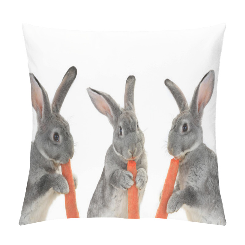 Personality  Gray  Rabbits With Carrots Pillow Covers