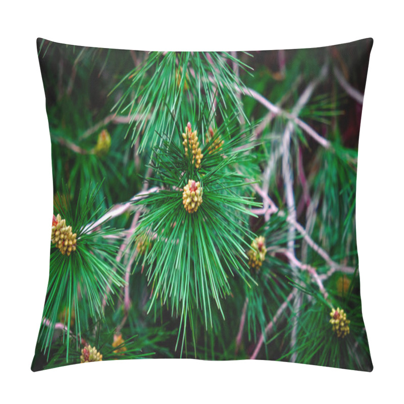 Personality  Pine Needles Close Up Pillow Covers