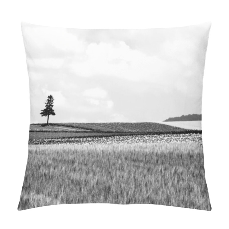 Personality  Bright Field HDR Natural Black And White Background Pillow Covers