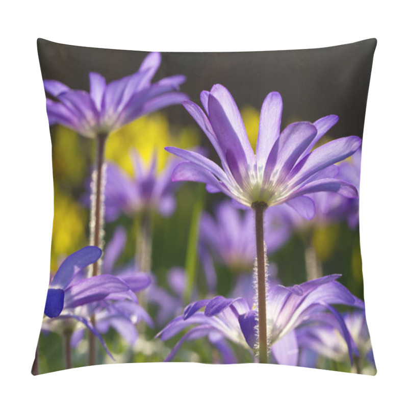 Personality  Anemone Blanda In Back Light Pillow Covers