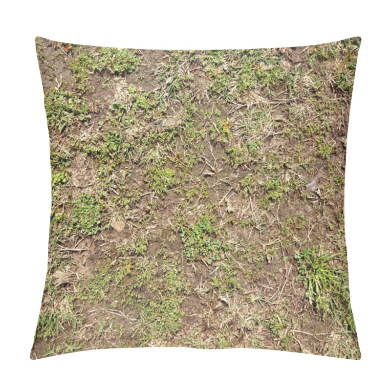 Personality  Dry Land Grasses Texture Pillow Covers