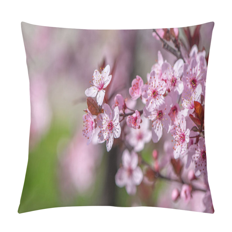 Personality  Closeup Of Gorgeous Pink Spring Blossoms On Tree Against Green Background Pillow Covers