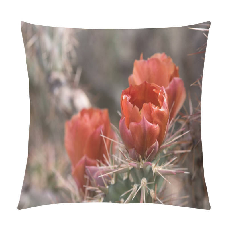 Personality  Cactus At Saguaro National Park, Arizona, USA Pillow Covers