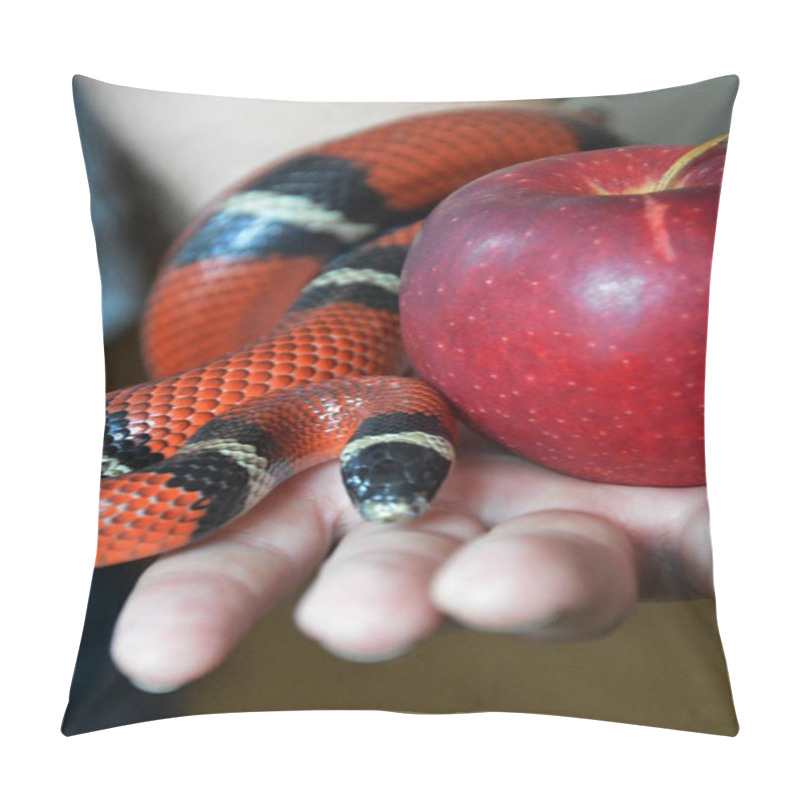 Personality  Hand Holding The Forbidden Fruit And A Curling Snake Pillow Covers