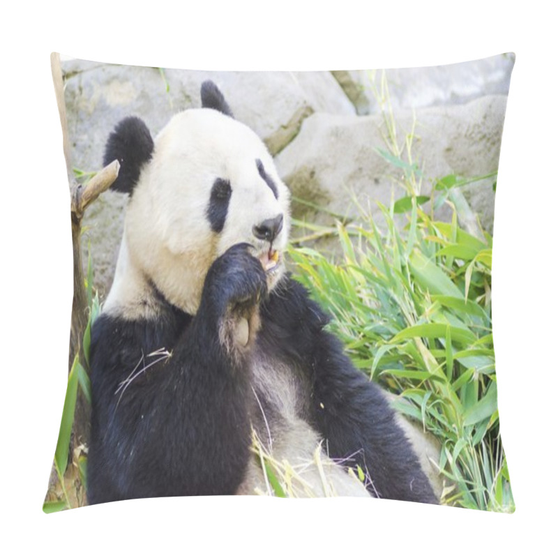 Personality  Panda Pillow Covers