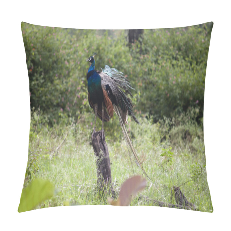 Personality  Peacock Pillow Covers