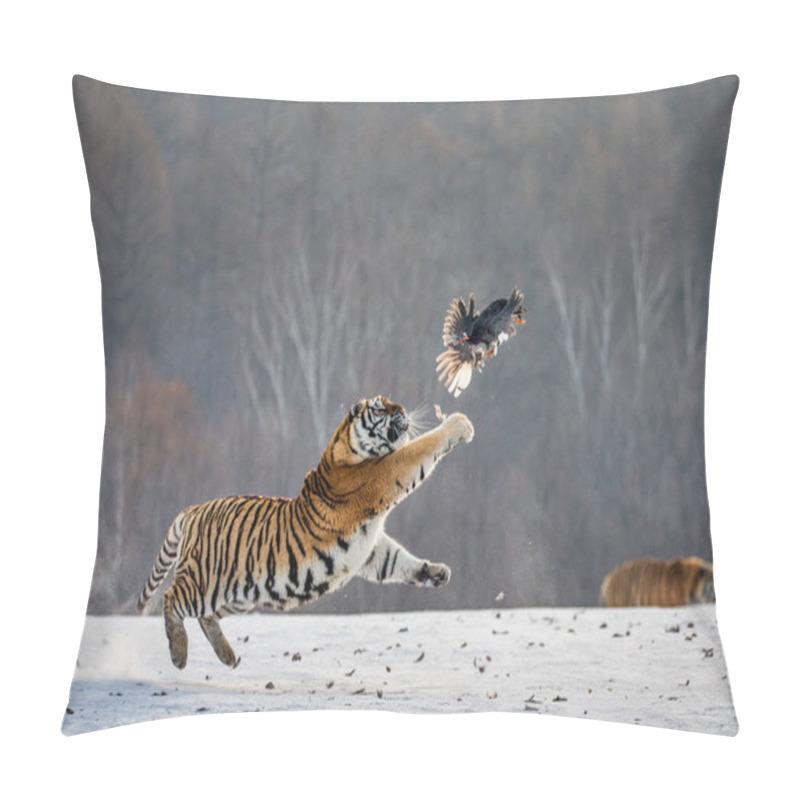 Personality  Siberian Tiger Jumping And Catching Prey Bird In Winter Forest, Siberian Tiger Park, Hengdaohezi Park, Mudanjiang Province, Harbin, China.  Pillow Covers