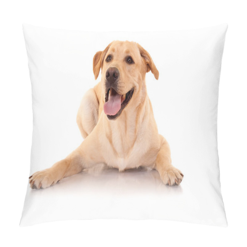 Personality  Happy Retriever Labrador Pillow Covers