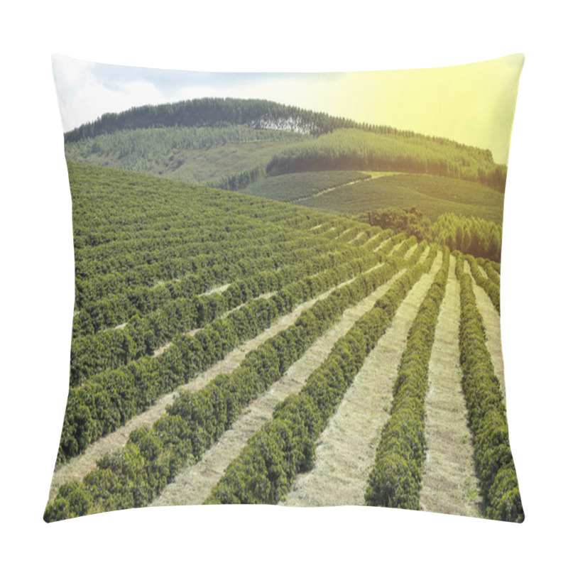 Personality  Farm Coffee Plantation In Brazil Pillow Covers