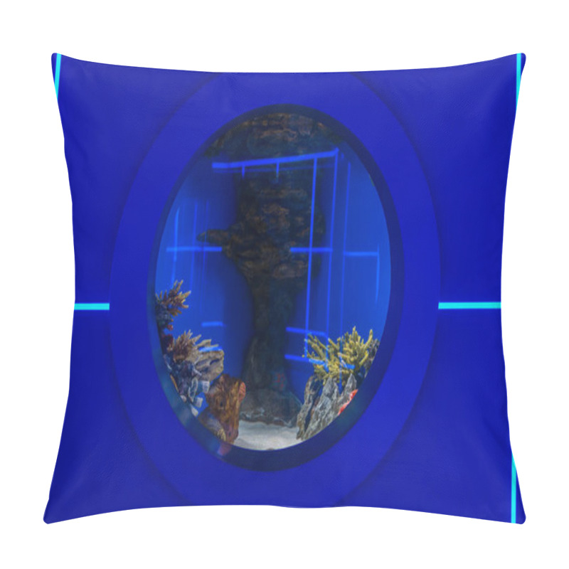 Personality  Viewing Round Window For Observing Fish In Blue Aquarium Pillow Covers