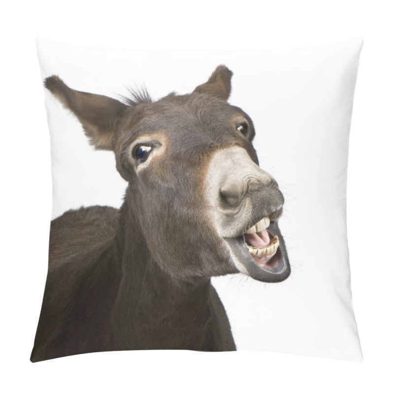 Personality  Donkey (4 Years) Pillow Covers