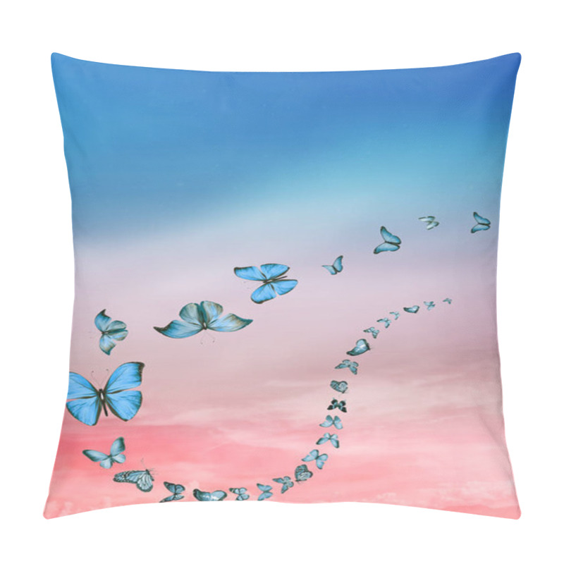 Personality  Romantic Sky Background With Butterflies Pillow Covers