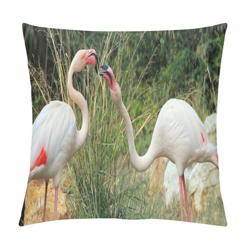 Personality  Two Angry Flamingos Pillow Covers