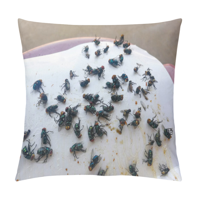 Personality  How To Get Rid Of Flies / Many Fly Trapped On White Paper Glue Pillow Covers