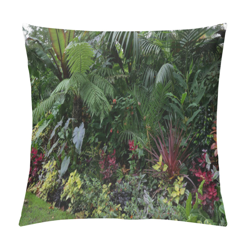 Personality  Beautiful Late Summer Flowerbed With Colourful Red And Green Foliage Pillow Covers