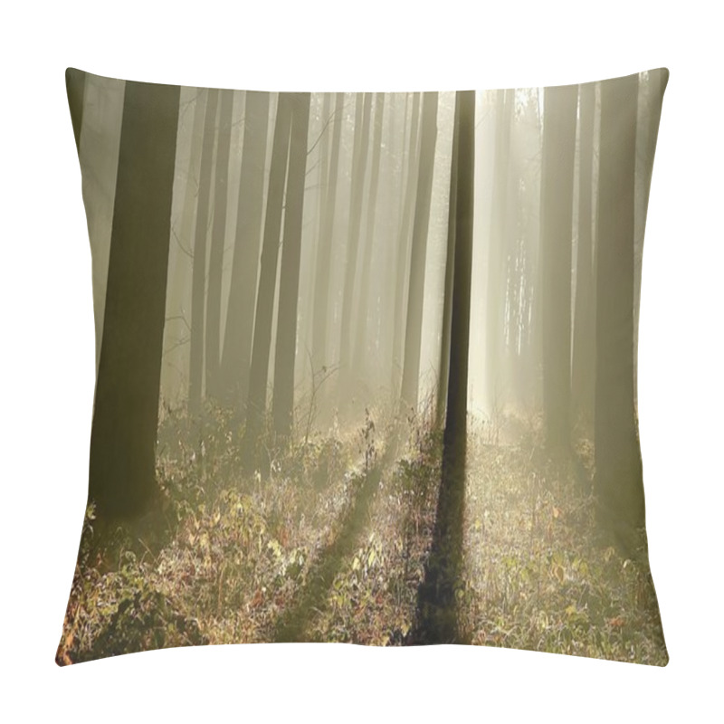 Personality  Magic Forest Backlit By The Rising Sun Pillow Covers