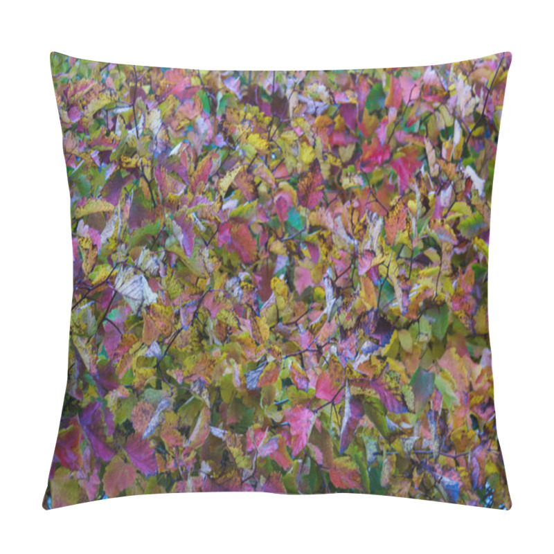 Personality  Bright Background Of Red Leaves Of Maiden Grapes Pillow Covers