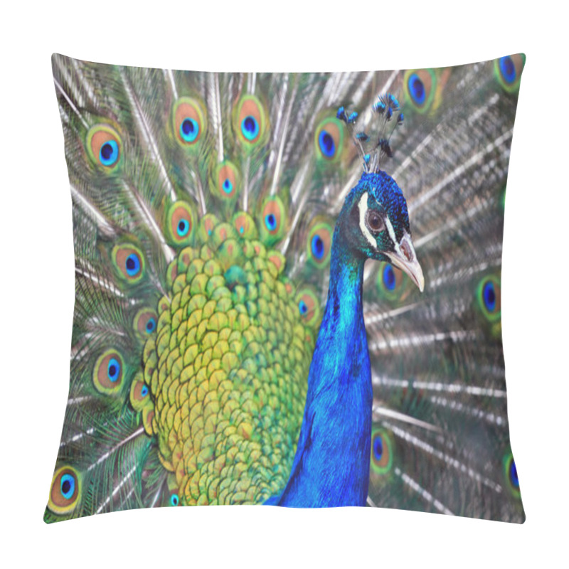 Personality  Male Peacock Pillow Covers