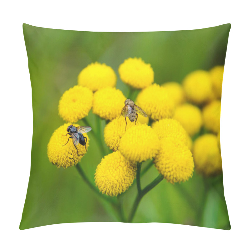 Personality  Tanacetum Vulgare Or Tansies And Flies Pillow Covers