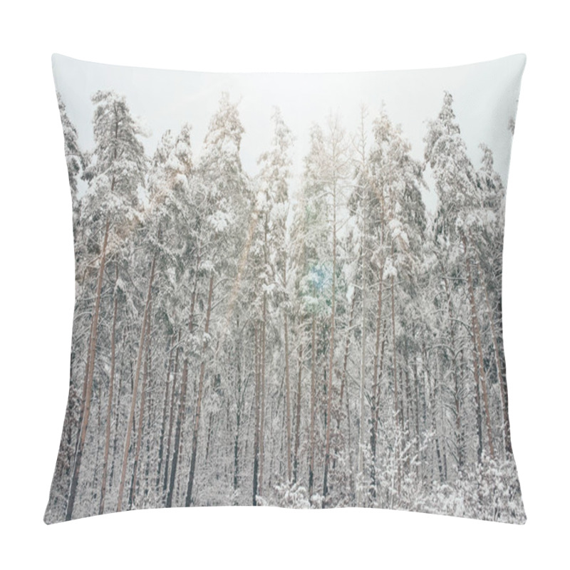 Personality  Scenic View Of Snowy Pine Trees And Sunlight In Winter Forest Pillow Covers