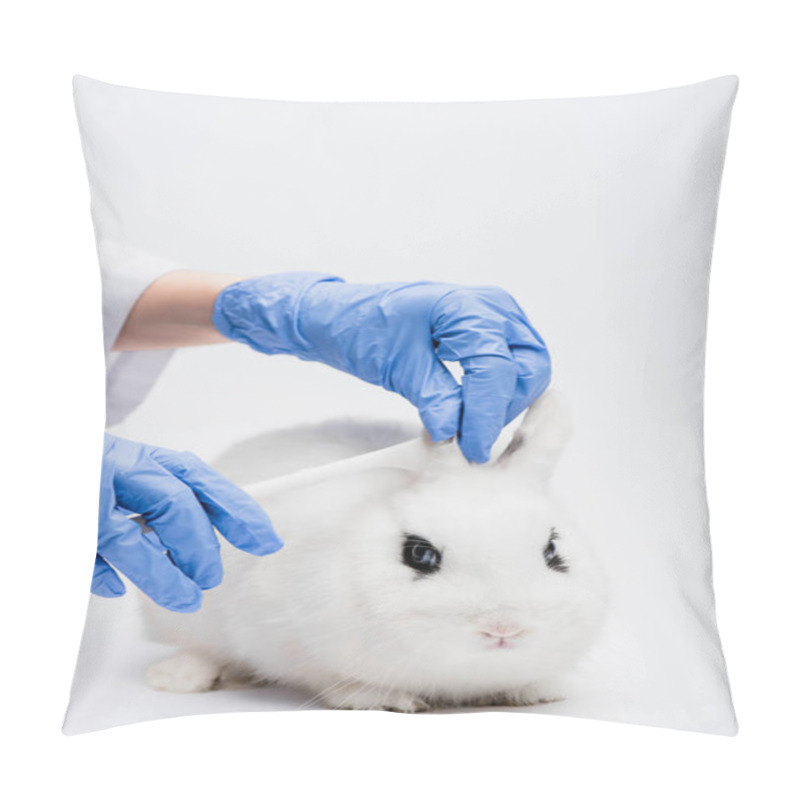 Personality  Cropped View Of Veterinarian Examining Rabbit Ears On White Background Pillow Covers