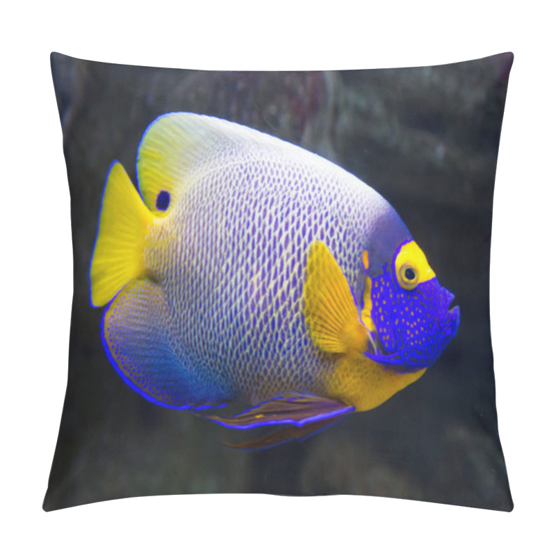 Personality  Bright Beautiful Fish Yellow Angel (Pomacanthus Xanthometopon) Swims On A Background Of Blue Water. Marine Life, Fish. Pillow Covers