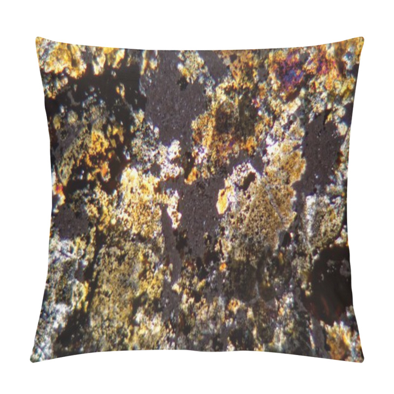 Personality  Petrographic Thin Section Of The Meteorite NWA 6870 Under The Microscope Pillow Covers