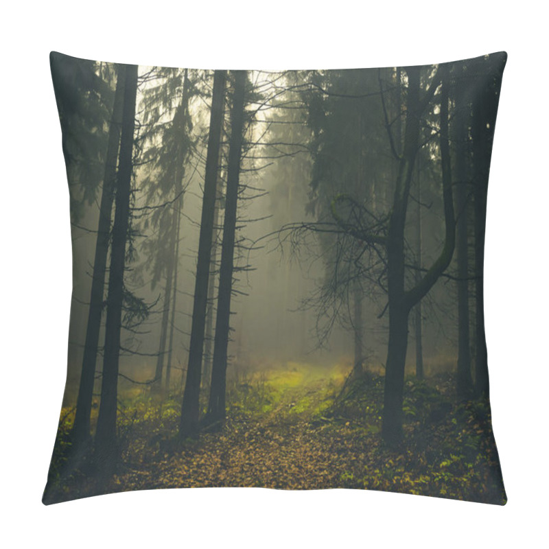 Personality  Creepy Foggy Forest, Forest Road, Spruce Trees, Fog, Mist. Gloomy Magical Landscape At Autumn/fall. Jeseniky Mountains, Eastern Europe, Moravia.  Pillow Covers