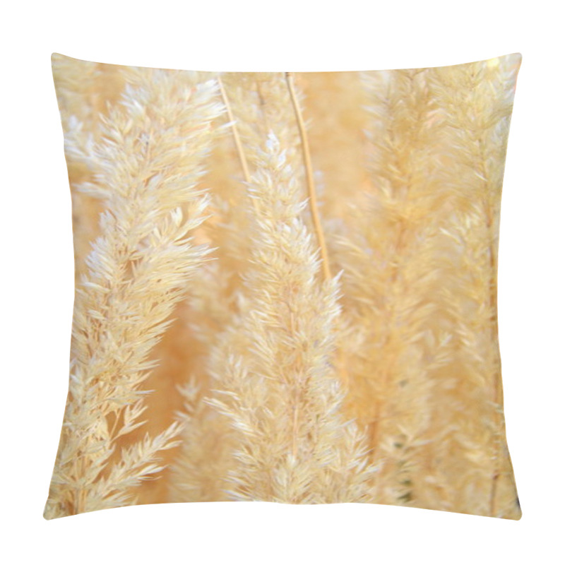 Personality  Pampas Grasses Pillow Covers