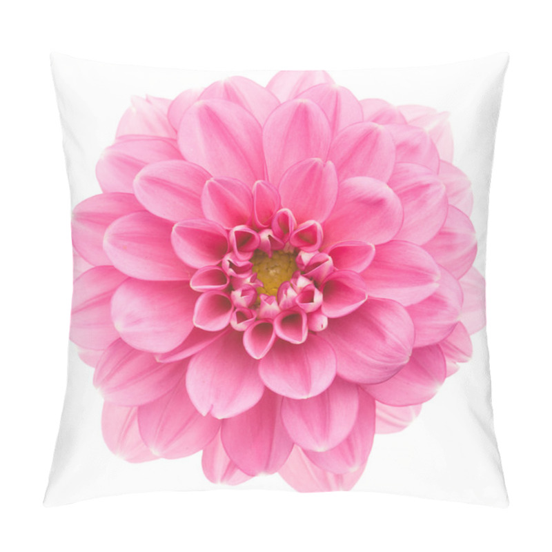 Personality  Pink Dahlia Isolated Pillow Covers