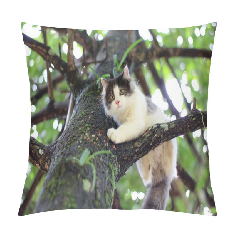 Personality  Beautiful Little Cat Stuck In A Tree In The Garden Pillow Covers